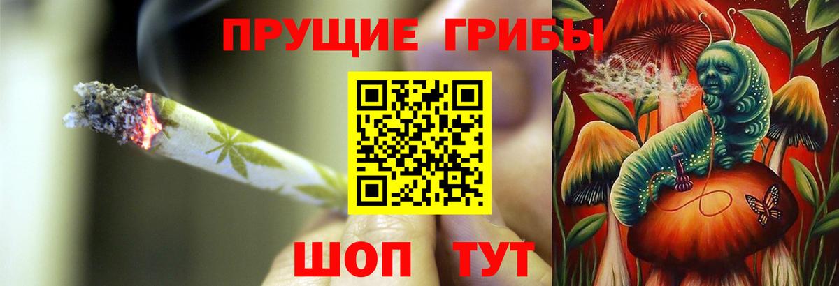 Галлюциногенные грибы Psilocybe  как найти закладки  Чистополь  Вход с VPN 